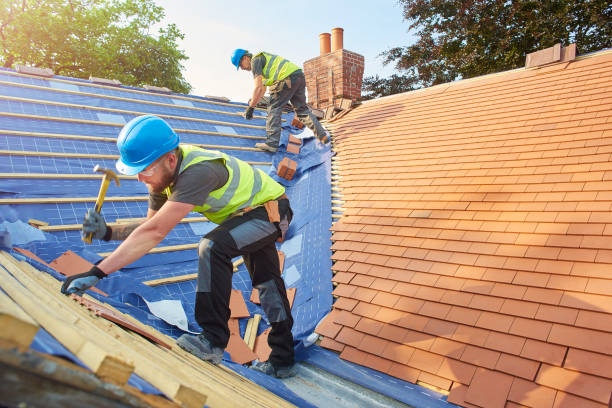 Best Skylight Installation and Repair  in Fkville, AL